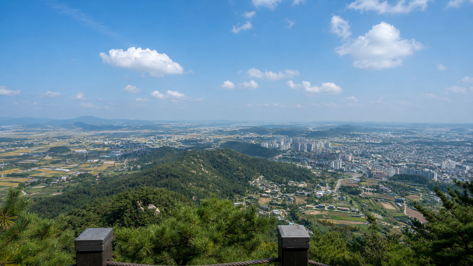 정상에서 바라본 태안 전경. 태안 시내와 아파트 단지, 그 너머로 바다까지 한눈에 펼쳐진다