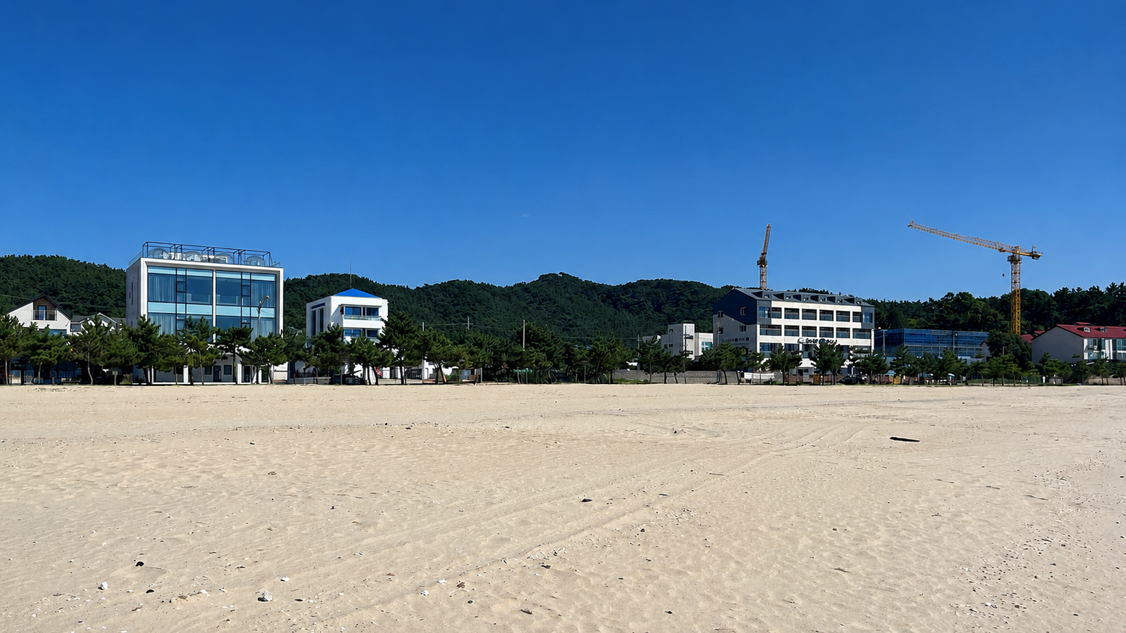 천리포 해변 뒤편 길가 건물 풍경