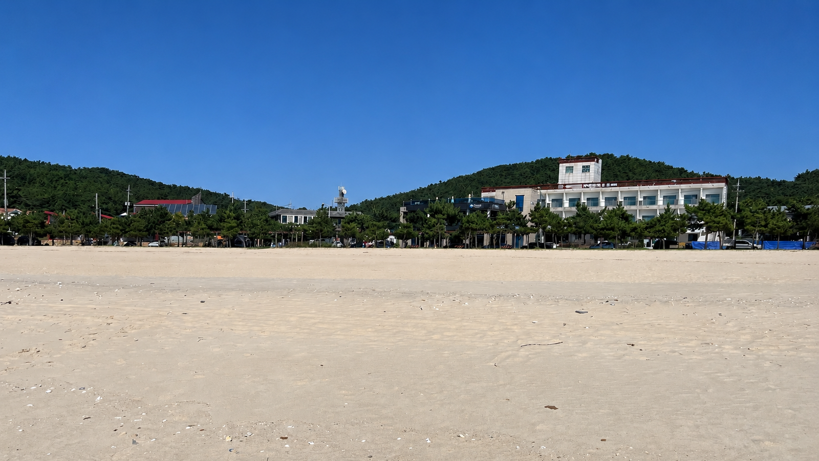 천리포 해변 주변 풍경